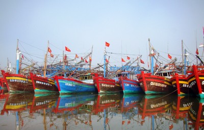 Quang Tri province develops offshore fishing fleet  - ảnh 1